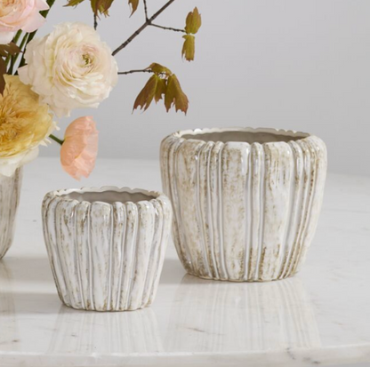 Cedric Pot
