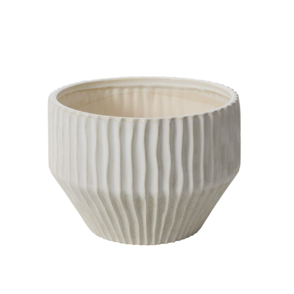 Cameron Pot