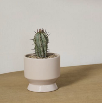 Pasadena Pot
