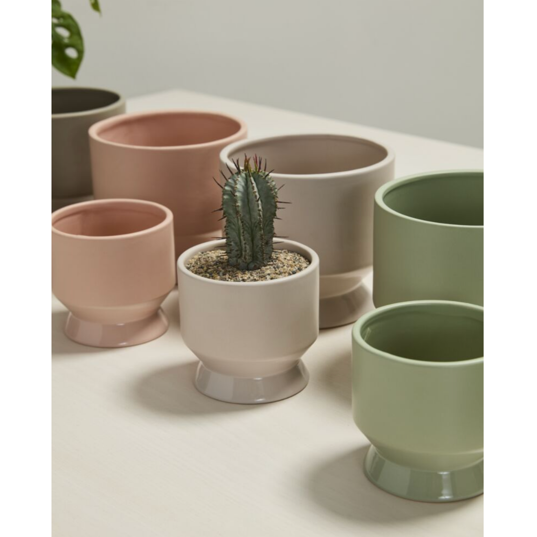 Pasadena Pot