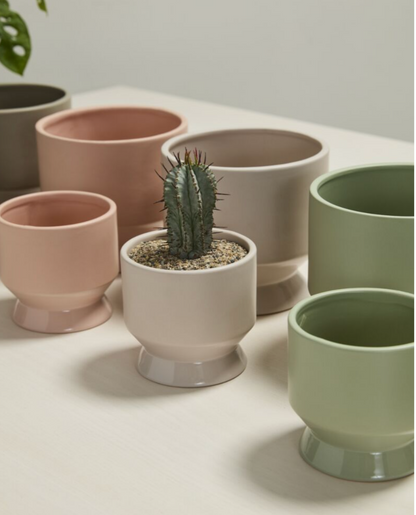 Pasadena Pot