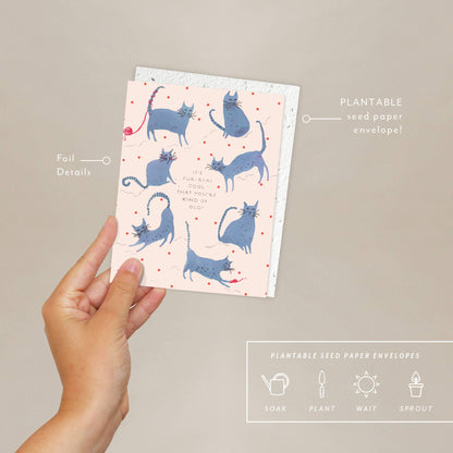 Playful Cats - Birthday Card