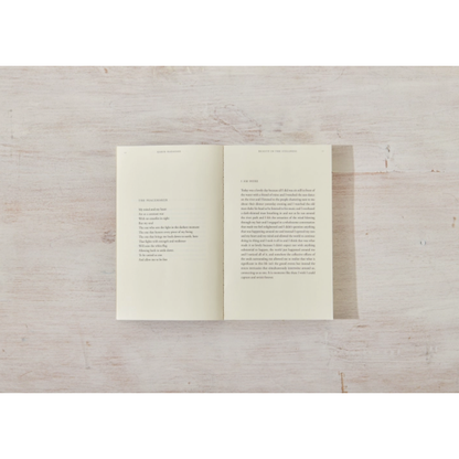 Beauty In The Stillness - book