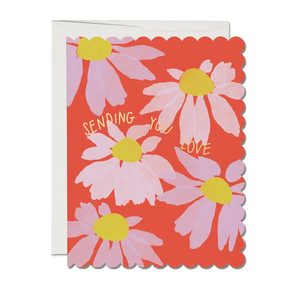 Coneflower Sympathy Card