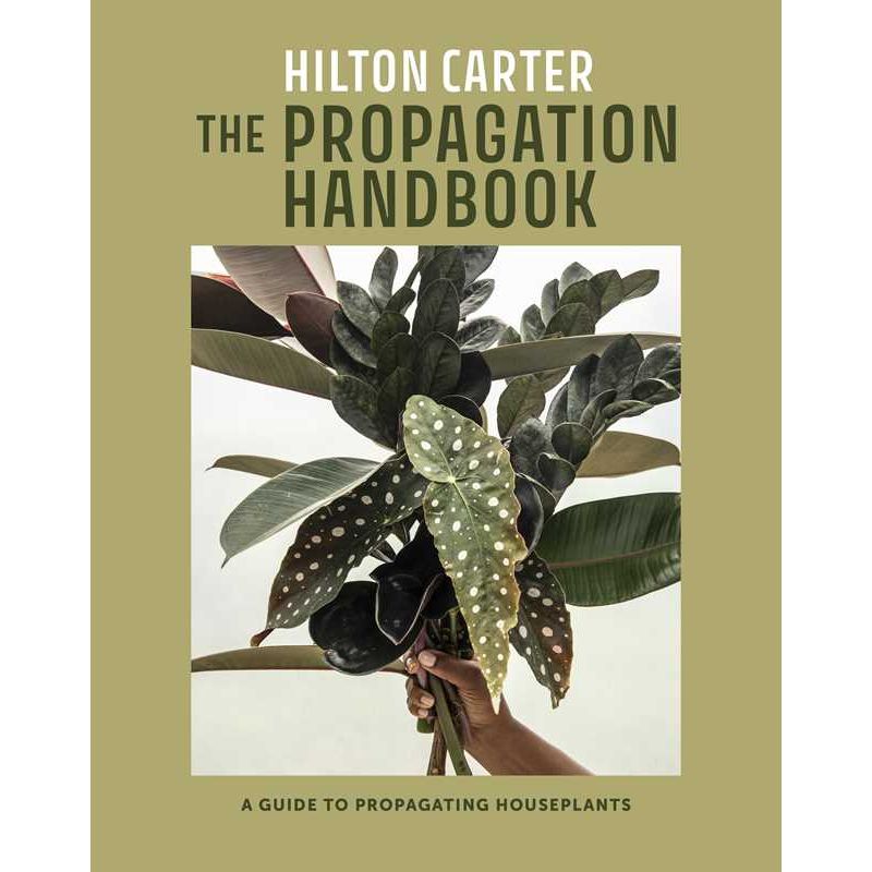 Propagation Handbook by Hilton Carter