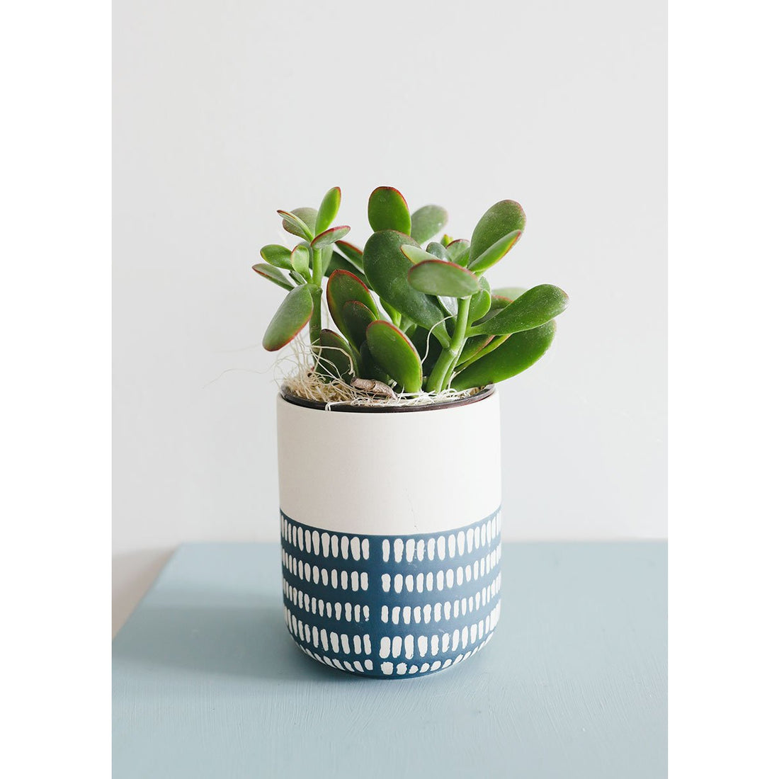 Blue and White Geometric Flower Pot